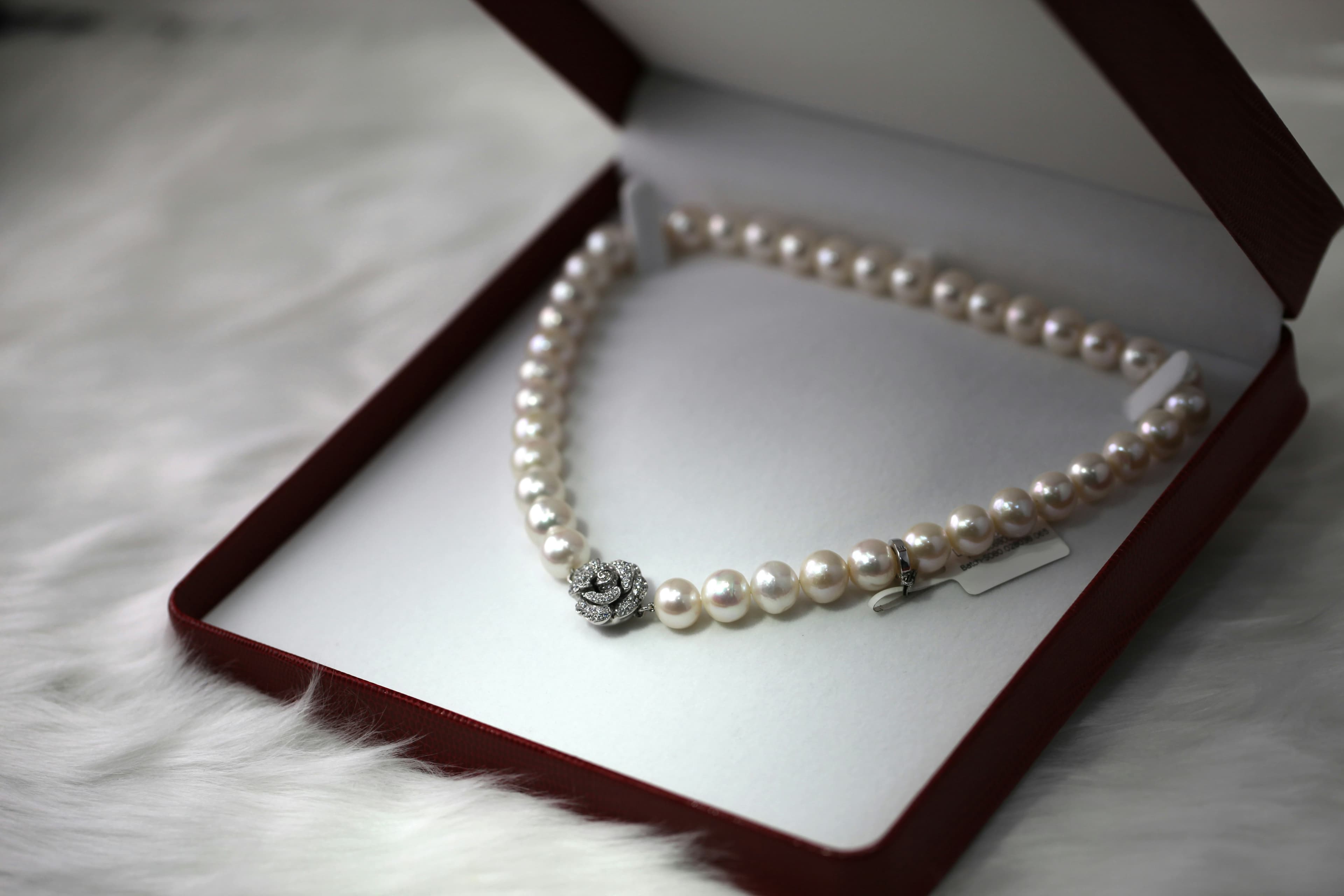 A strand of pearls resting in a velvet case